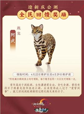 阿甘天龙八部私服